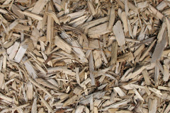 biomass boilers Dallimores